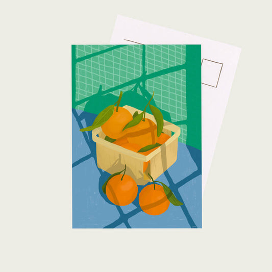 Oranges in the sun Postcard