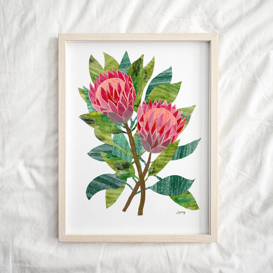 An eco friendly giclee featuring two pink protea flowers surrounded by green leaves. An open edition giclée by Bert and Roxy